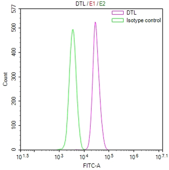 DTL Antibody
