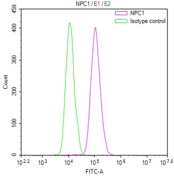 NPC1 Antibody