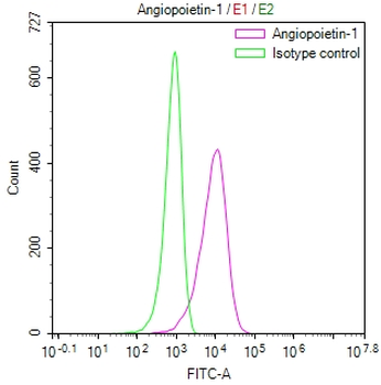 ANGPT1 Antibody