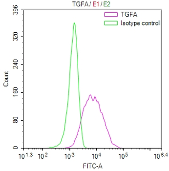 TGFA Antibody