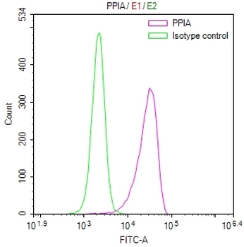 PPIA Antibody