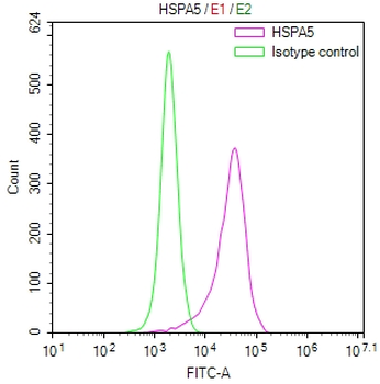 HSPA5 Antibody