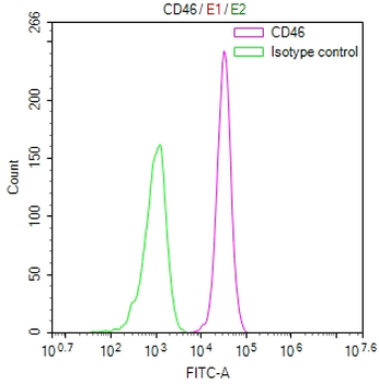 CD46 Antibody