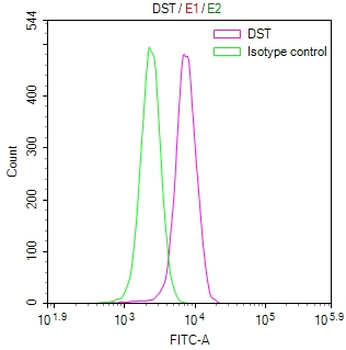 DST Antibody