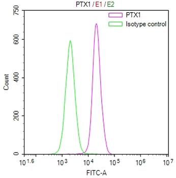 CRP Antibody