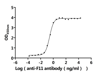 F11 Antibody