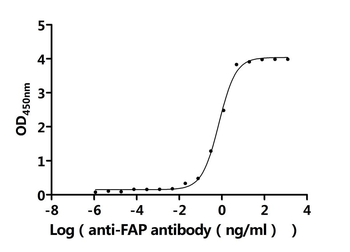 FAP Antibody