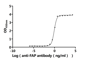 FAP Antibody