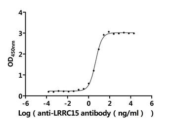 LRRC15 Antibody