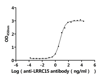 LRRC15 Antibody