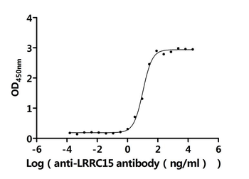 LRRC15 Antibody