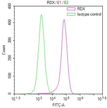 RDX Antibody
