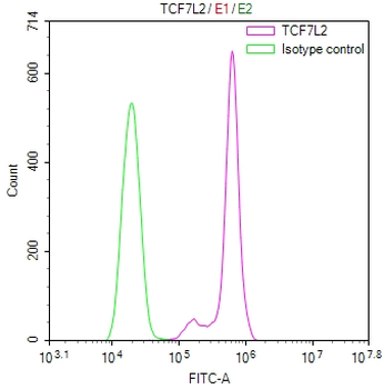 TCF7L2 Antibody