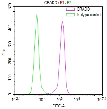 CRADD Antibody