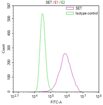 SET Antibody