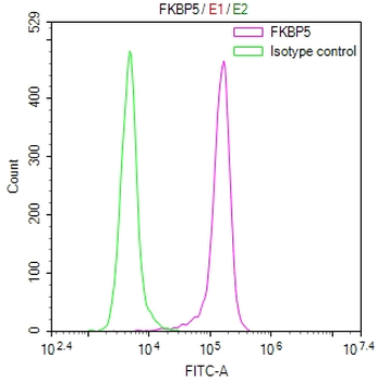 FKBP5 Antibody