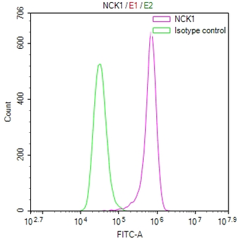 NCK1 Antibody