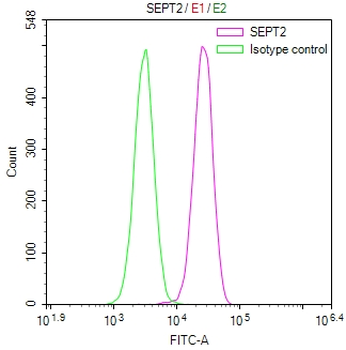 SEPTIN2 Antibody