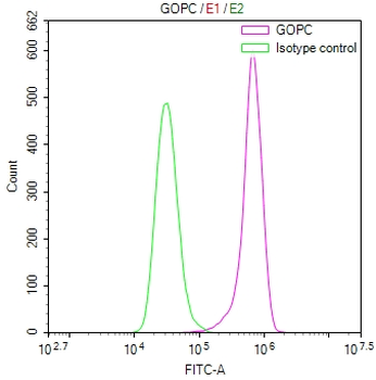 GOPC Antibody