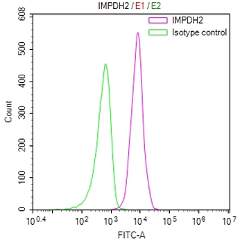 IMPDH2 Antibody