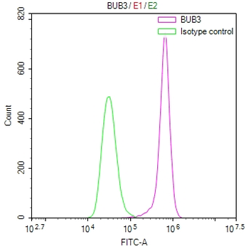 BUB3 Antibody