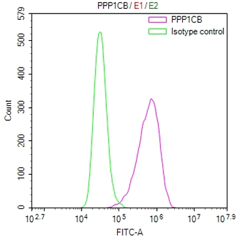 PPP1CB Antibody