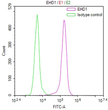 EHD1 Antibody