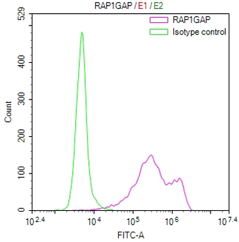 RAP1GAP Antibody