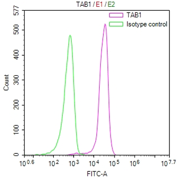 TAB1 Antibody