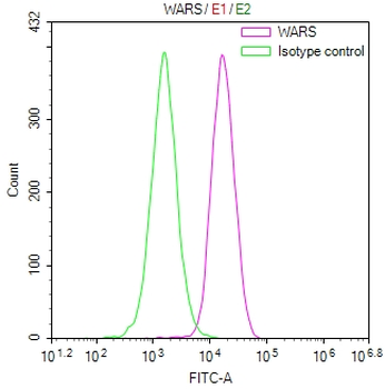 WARS1 Antibody
