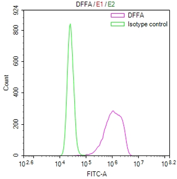 DFFA Antibody