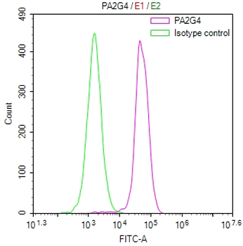 PA2G4 Antibody
