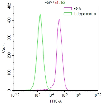FGA Antibody