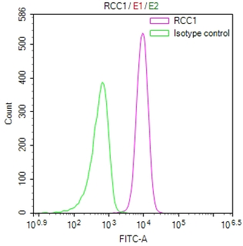 RCC1 Antibody