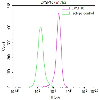 CASP10 Antibody