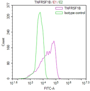 TNFRSF1B Antibody