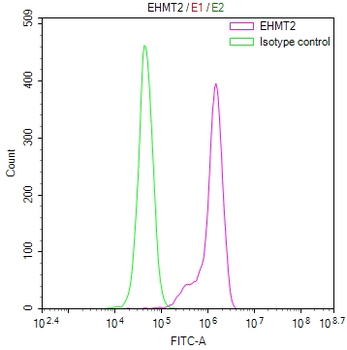 EHMT2 Antibody