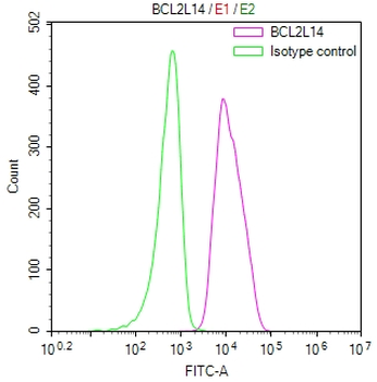 BCL2L14 Antibody