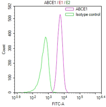 ABCE1 Antibody