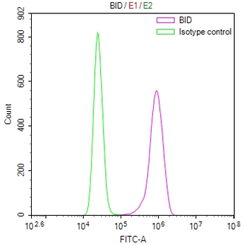 BID Antibody