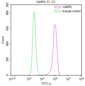 VAMP8 Antibody