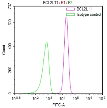 BCL2L11 Antibody