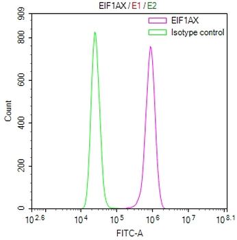 EIF1AX Antibody