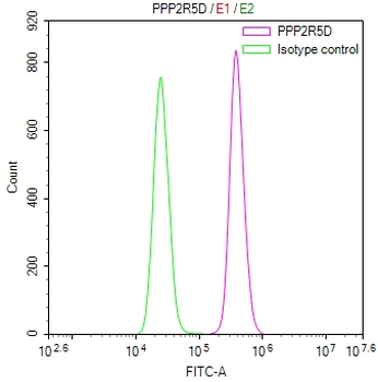 PPP2R5D Antibody
