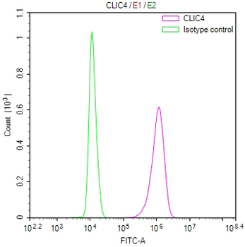 CLIC4 Antibody