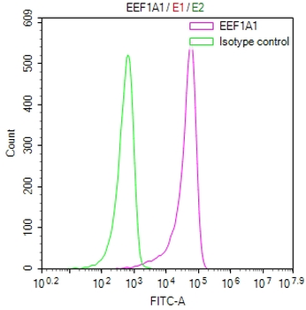 EEF1A1 Antibody