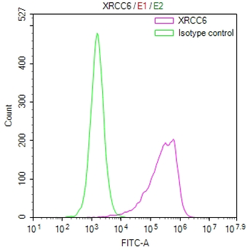XRCC6 Antibody