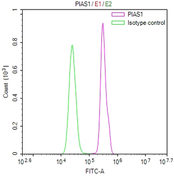 PIAS1/PIAS2 Antibody