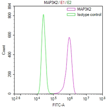 MAP3K2 Antibody