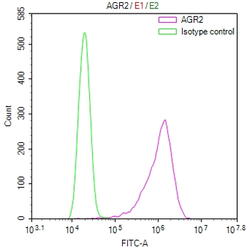 AGR2 Antibody